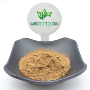 Natural Plant Extract