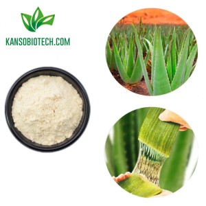 Aloe Vera Powder 